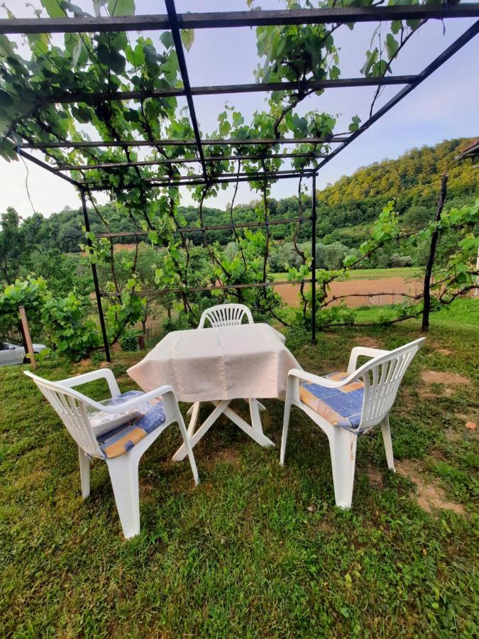 Kuca Za Odmor Ceif Villa Dropci Екстериор снимка